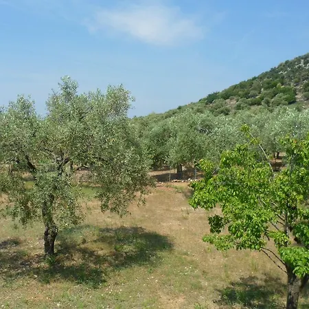 Lonely House Vakantiehuis *